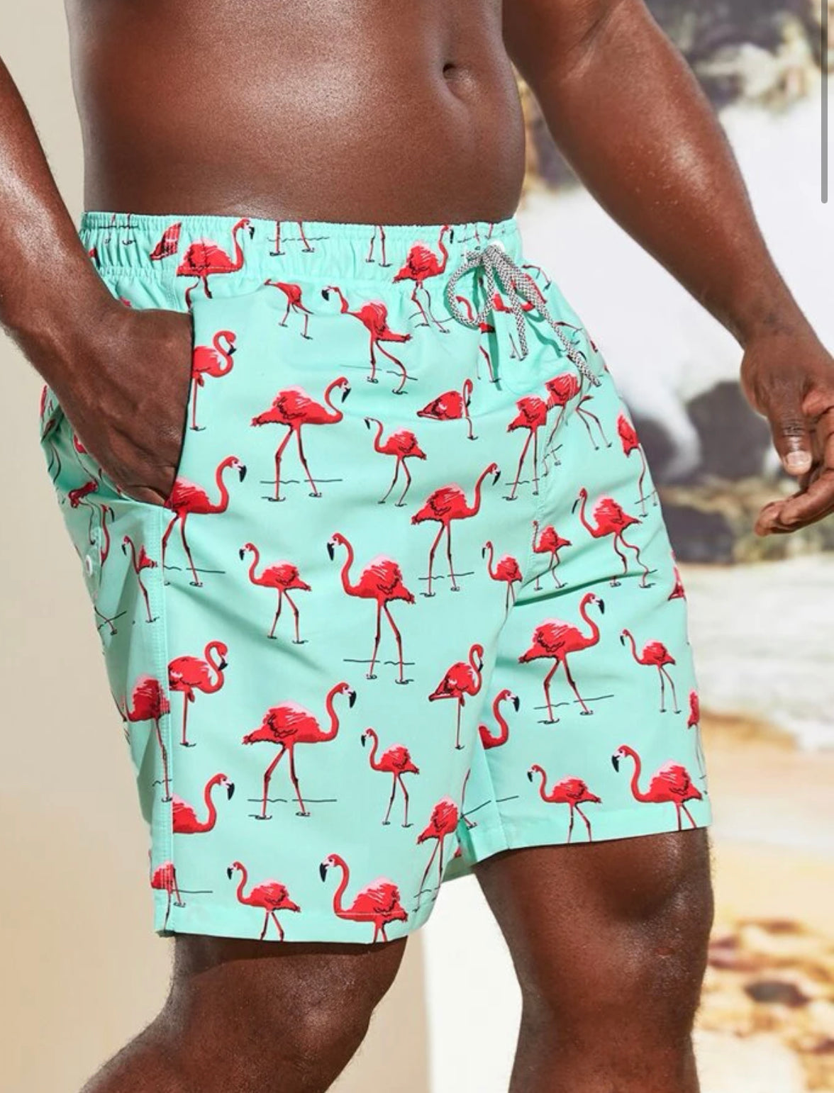 Extended sizes men flamingo print drawstring waist swim trunks