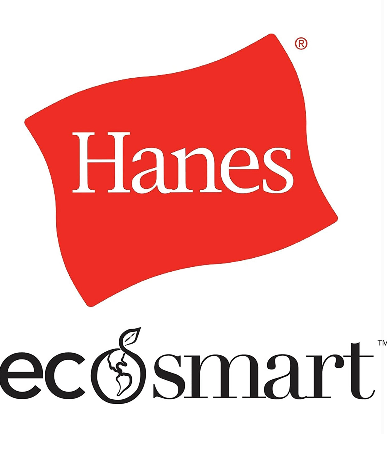 Hanes Men's Sweatshirt, EcoSmart Fleece Hoodie, Cotton-Blend Fleece Hooded Sweatshirt, Plush Fleece Pullover Hoodie