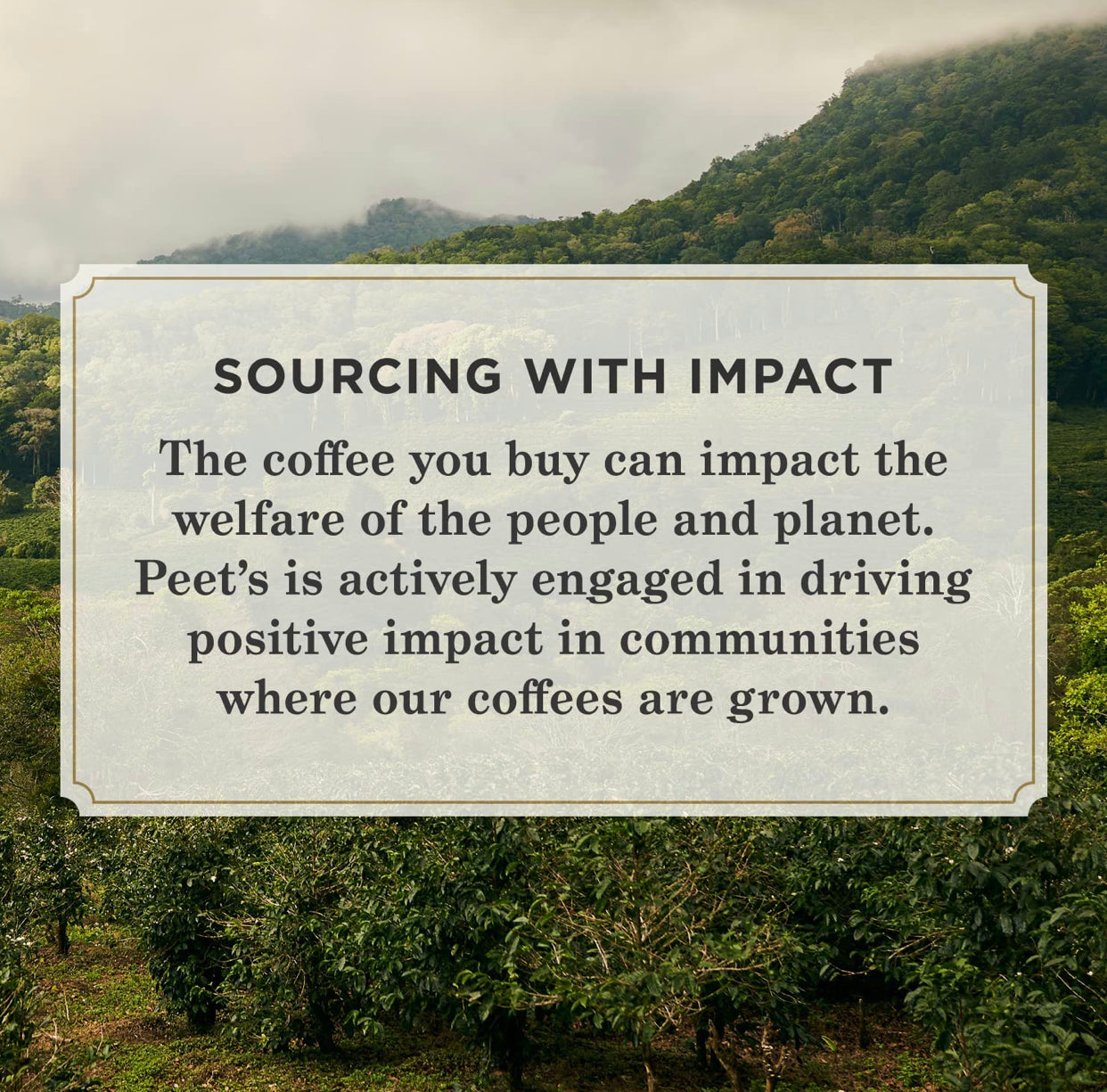 Peet's Coffee, Dark Roast K-Cup Pods for Keurig Brewers - Major Dickason's Blend 75 Count (1 Box of 75 K-Cup Pods) Packaging May Vary