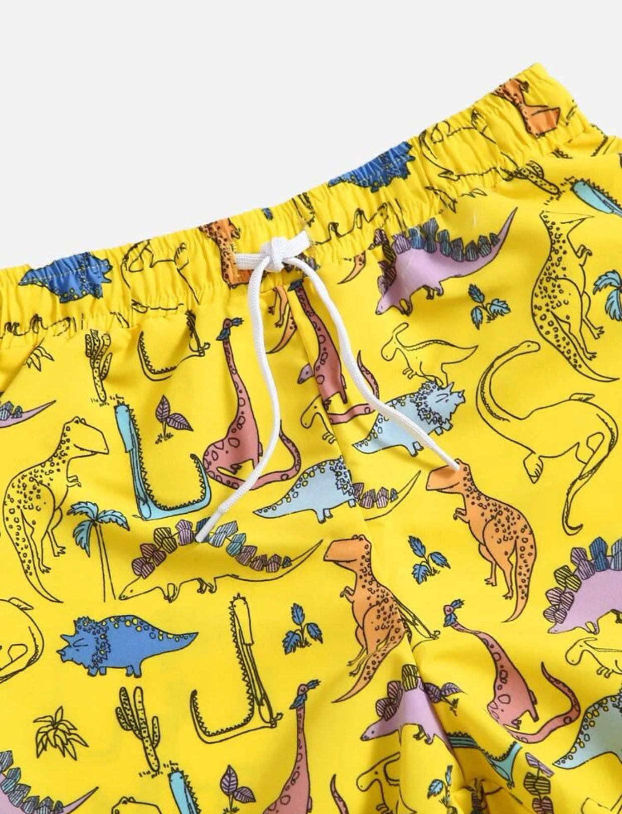 Toddler boys dinosaur print swim shorts