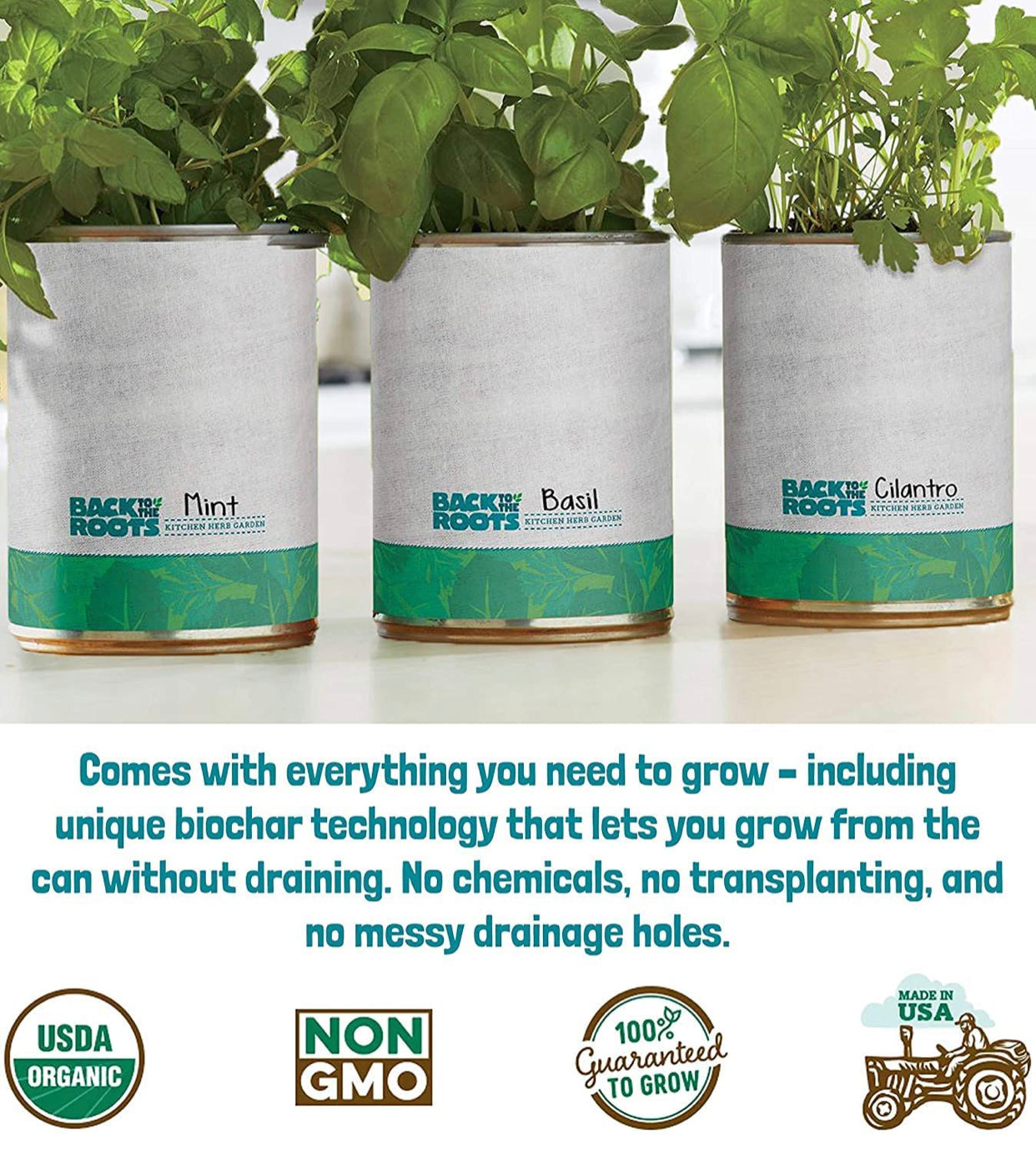 New Kitchen Garden Complete Herb Kit Variety Pack of Basil, Mint, and Cilantro Seeds