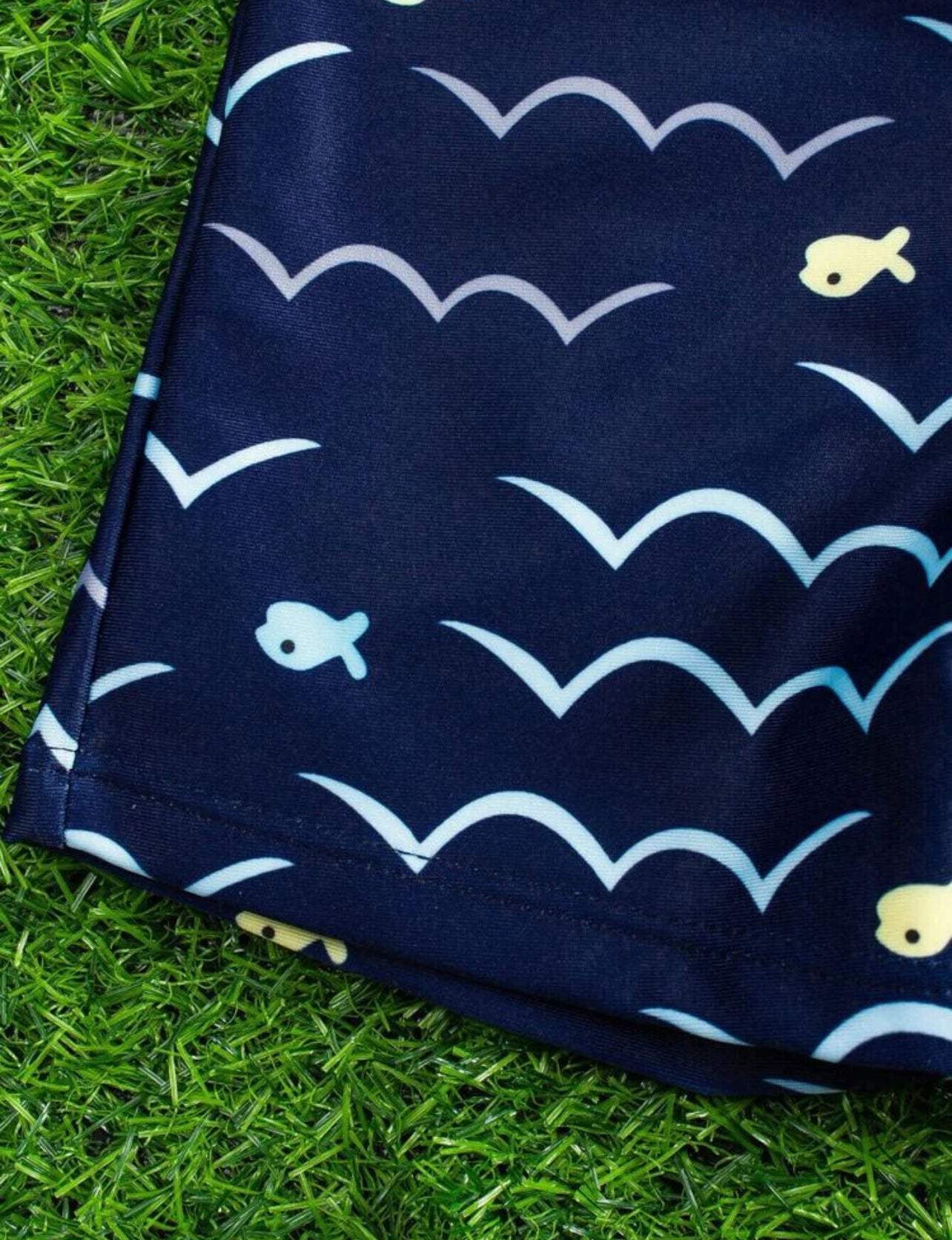 Toddler Boys Cartoon Graphic Beach Swimsuit