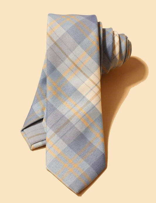 Men Plaid Print Tie