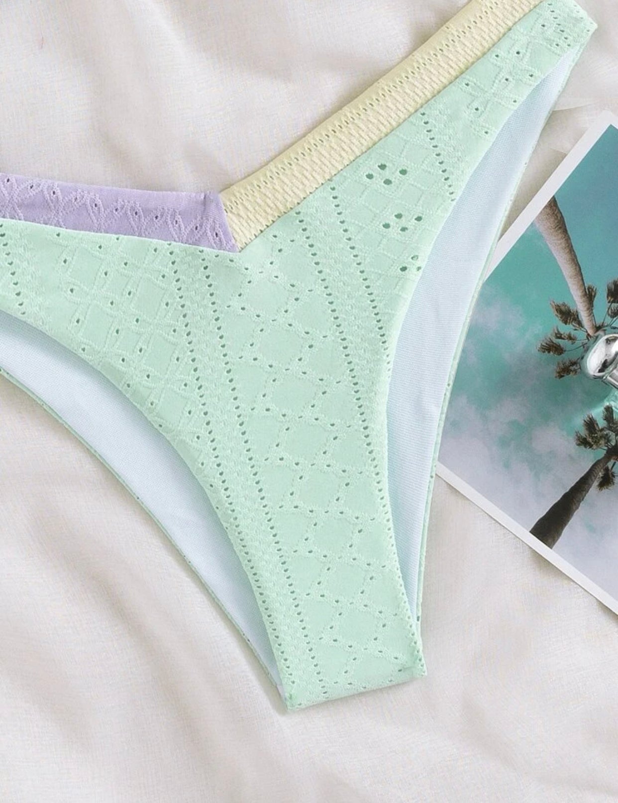 Colorblock eyelet embroidered micro triangle bikini swimsuit
