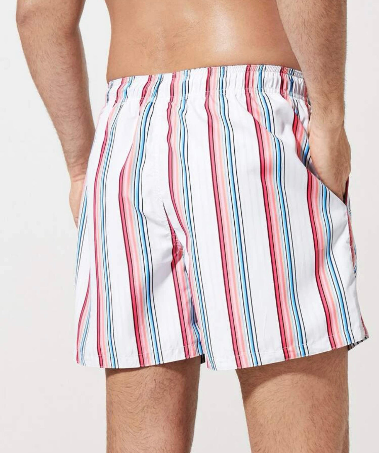 Men Block Striped Drawstring Waist Swim Trunks