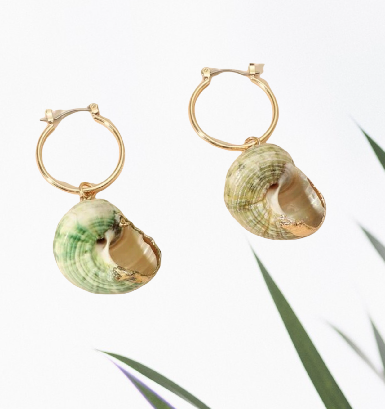 Conch decor drop earrings