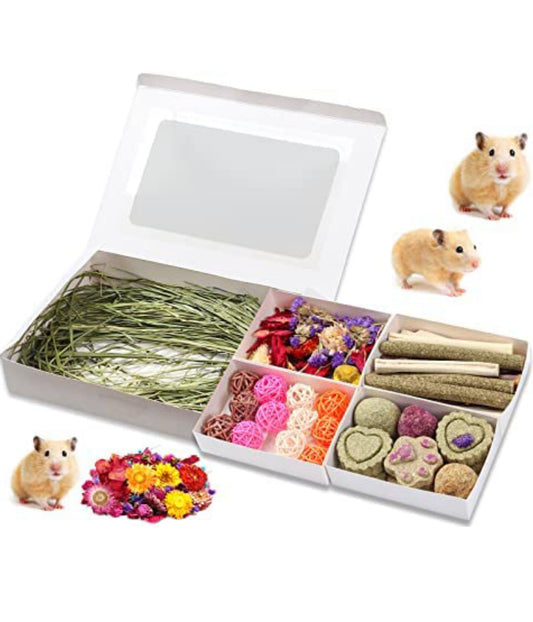 Small Animals Chew Toys