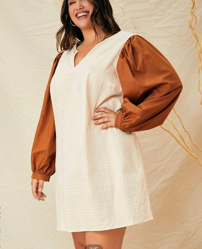 Plus color block lantern sleeve dress