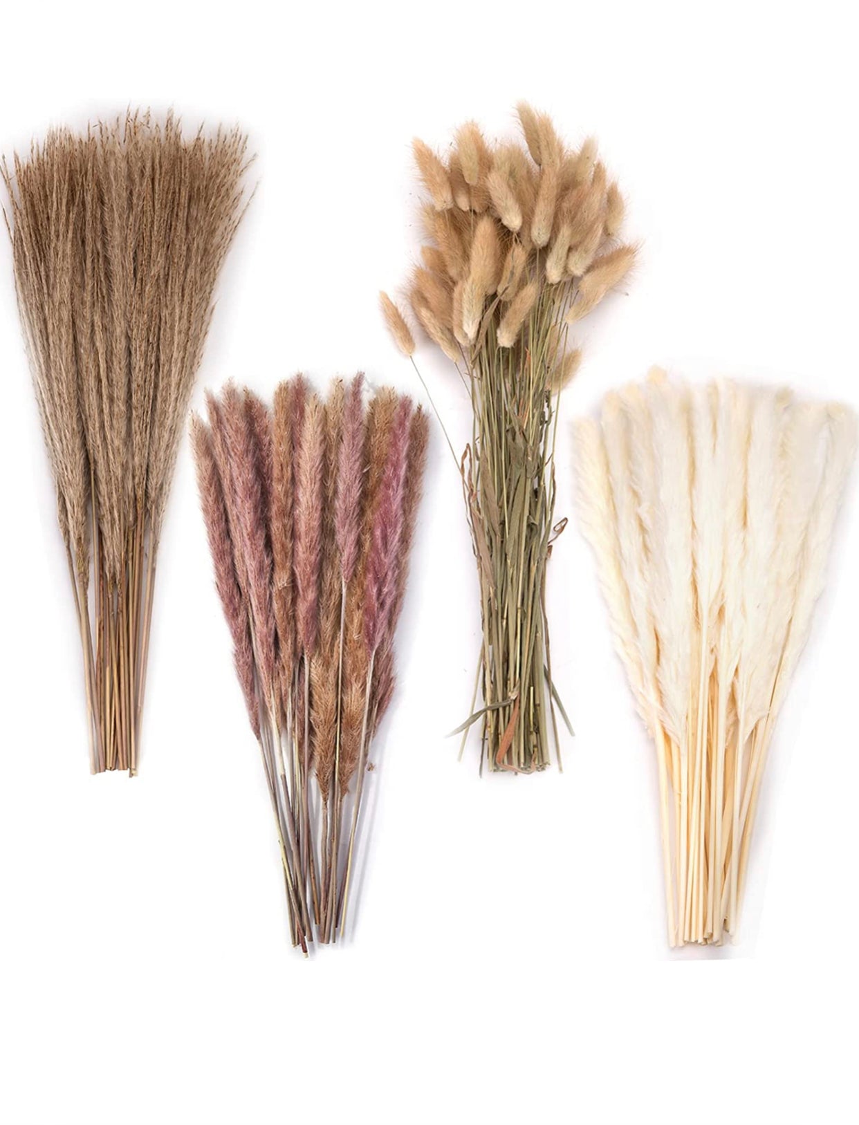 Pampas Grass, 130PCS Dried Pampas Grass Bunny Tail Grass Reed Boho Decor