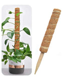 2pcs fiber plant support stake, plant stake for garden