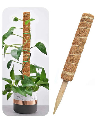 2pcs fiber plant support stake, plant stake for garden