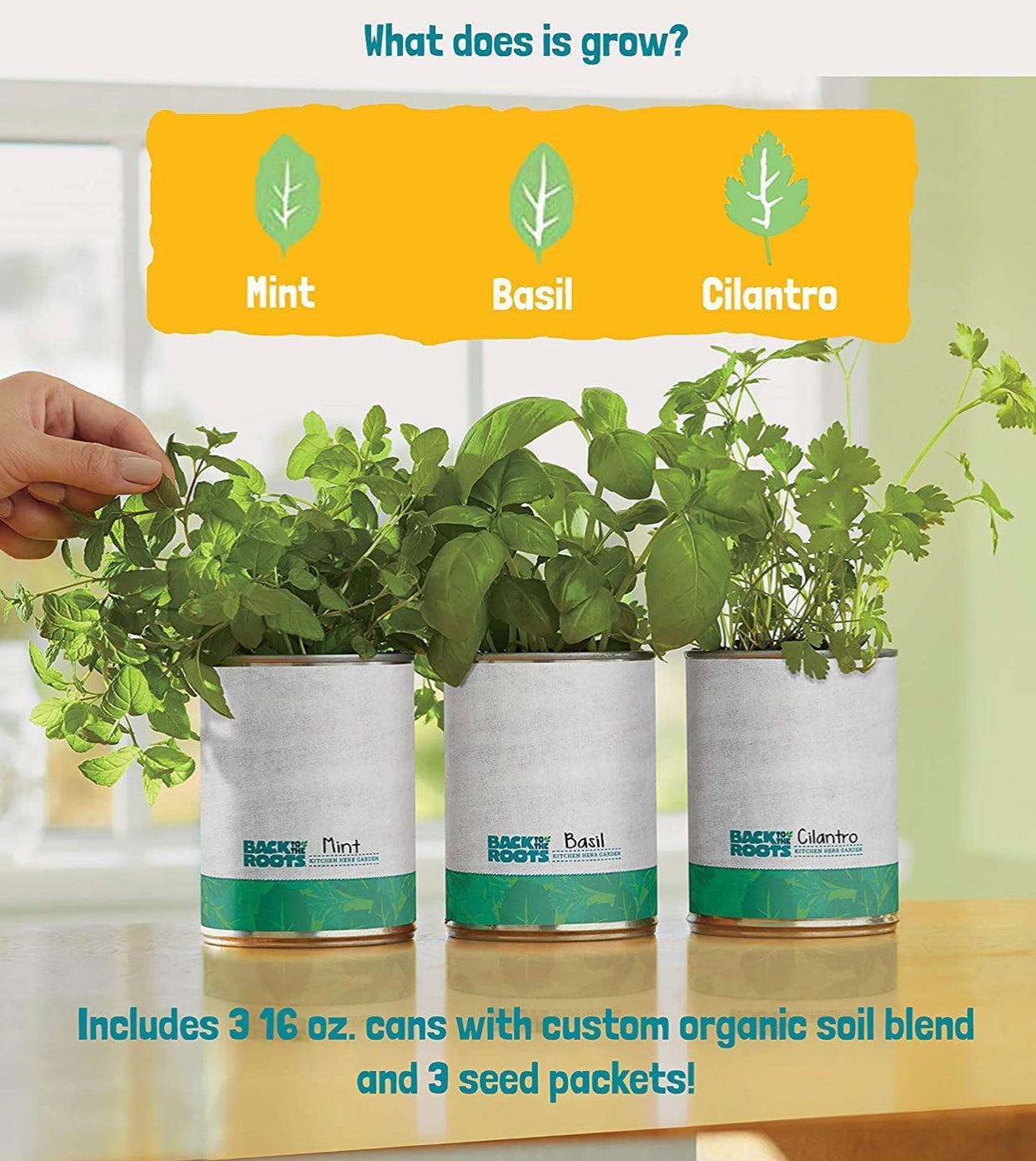 New Kitchen Garden Complete Herb Kit Variety Pack of Basil, Mint, and Cilantro Seeds