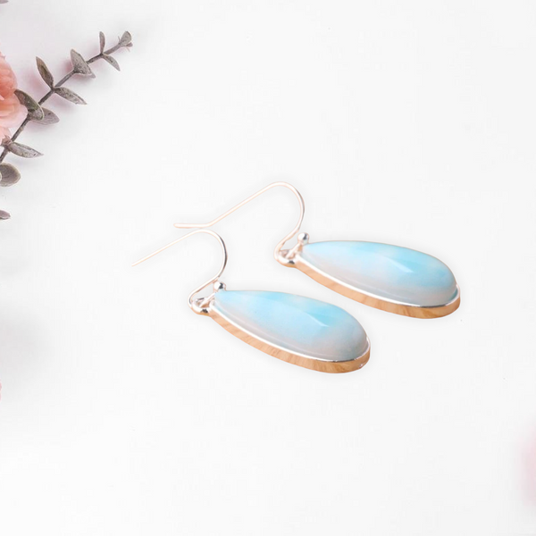 Water drop design earrings