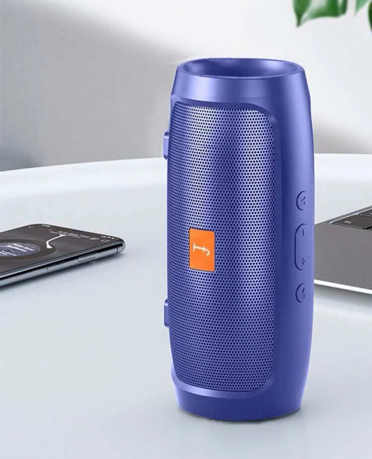 Portable wireless speaker compatible with Bluetooth