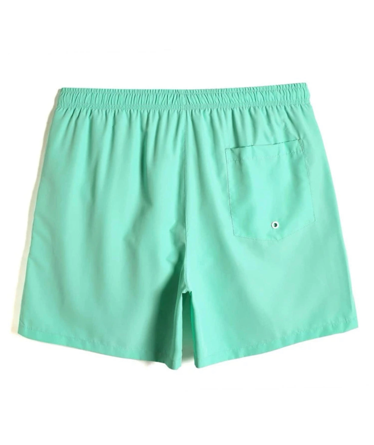 Men’s mint green drawstring waist windbreaker swim trunks