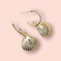 Shell drop earrings