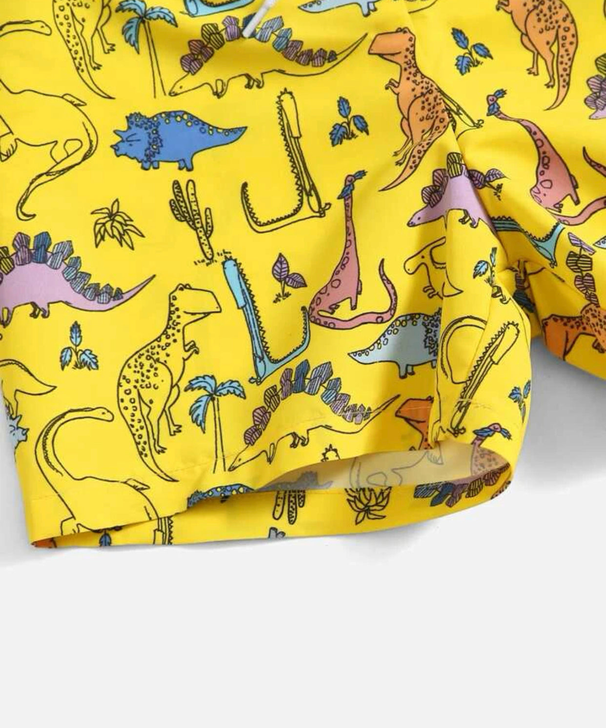 Toddler boys dinosaur print swim shorts