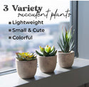 Set of 3 Artificial Succulents Plants