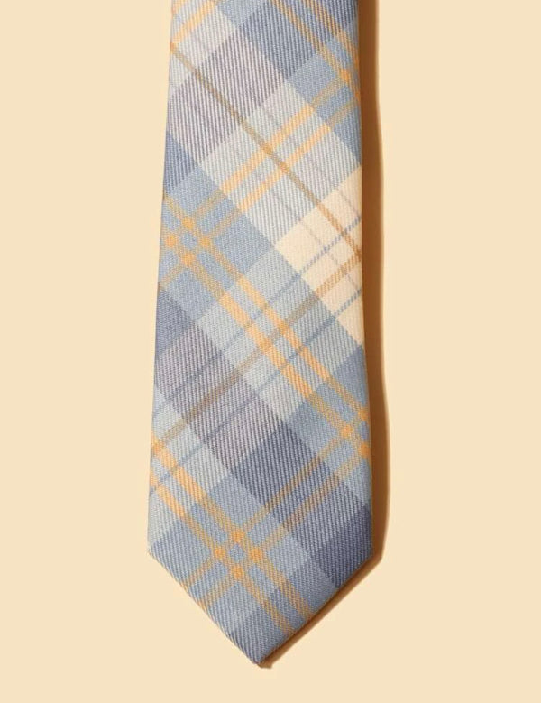 Men Plaid Print Tie