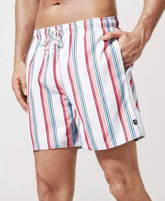 Men Block Striped Drawstring Waist Swim Trunks
