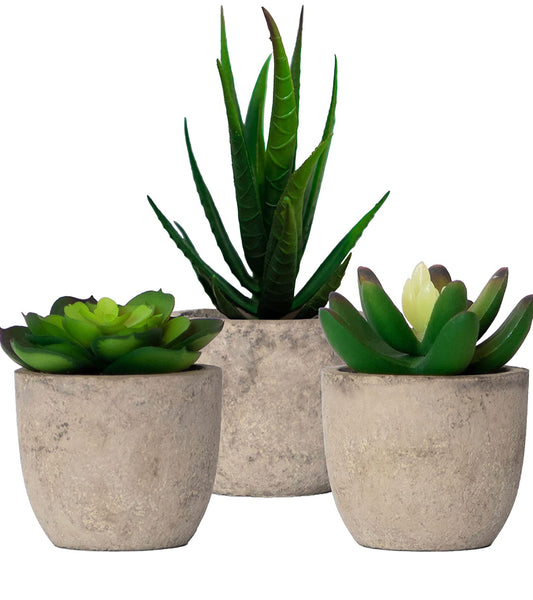 Set of 3 Artificial Succulents Plants