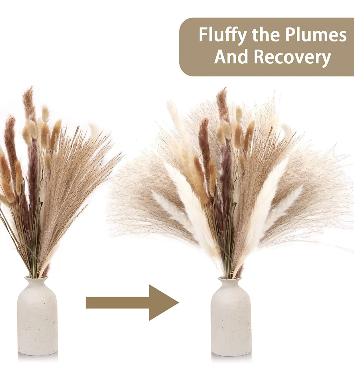 Pampas Grass, 130PCS Dried Pampas Grass Bunny Tail Grass Reed Boho Decor