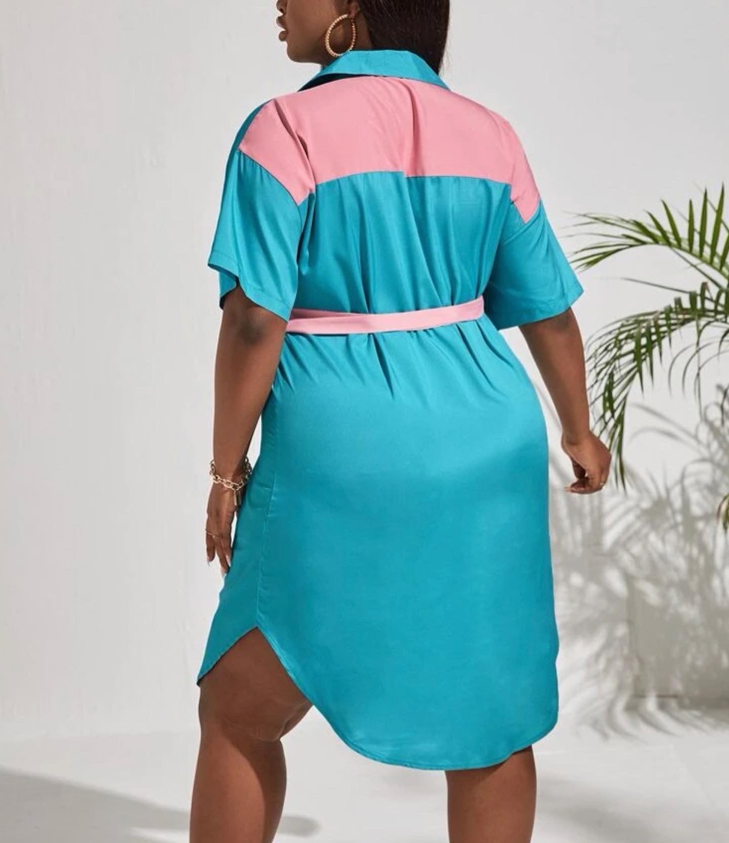 Curve & plus two tone  zip drop shoulder belted dress