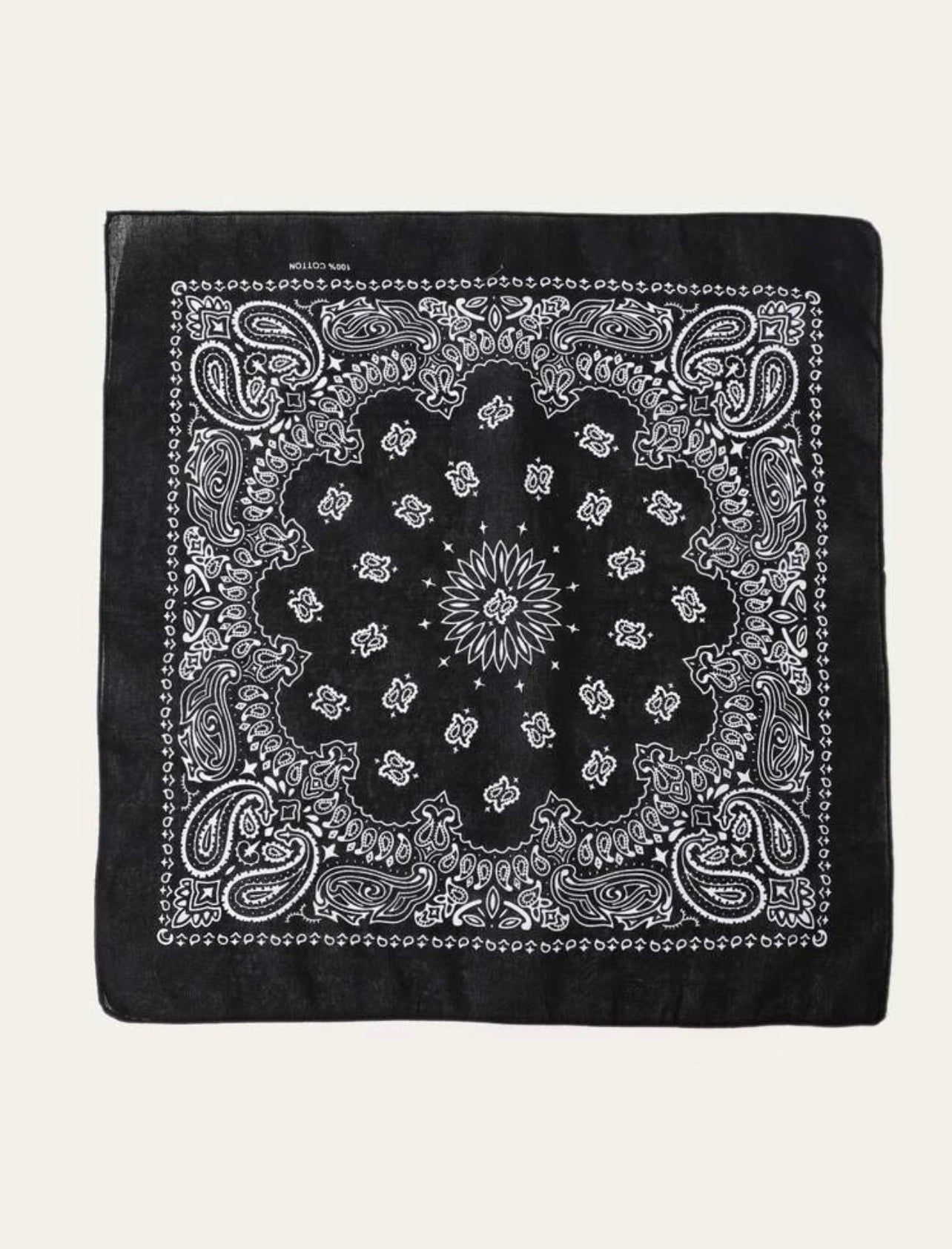 Paisley Print Bandana