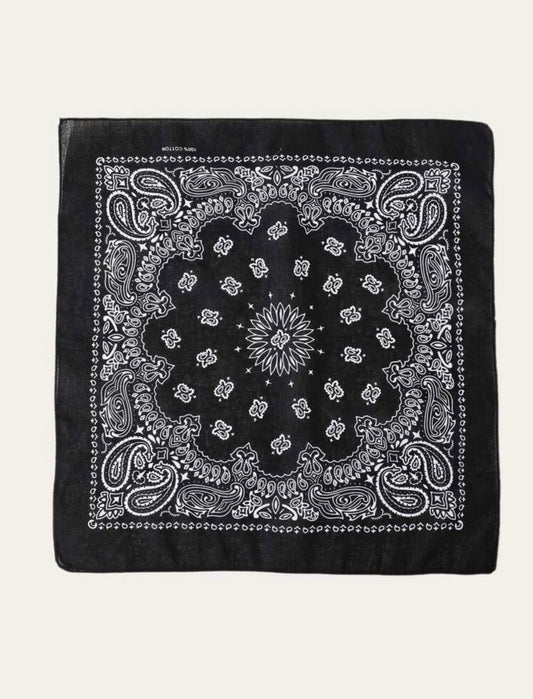 Paisley Print Bandana