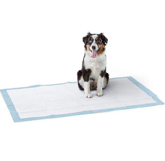 Dog and Puppy Pads, Leak-proof 5-Layer Pee Pads with Quick-dry Surface for Potty Training