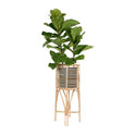 Rattan Indoor Plant Stand, Medium, Natural Planter Brown - Christina’s unique boutique LLC