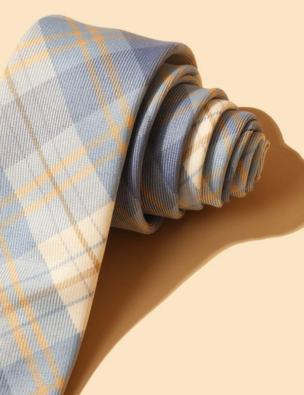 Men Plaid Print Tie