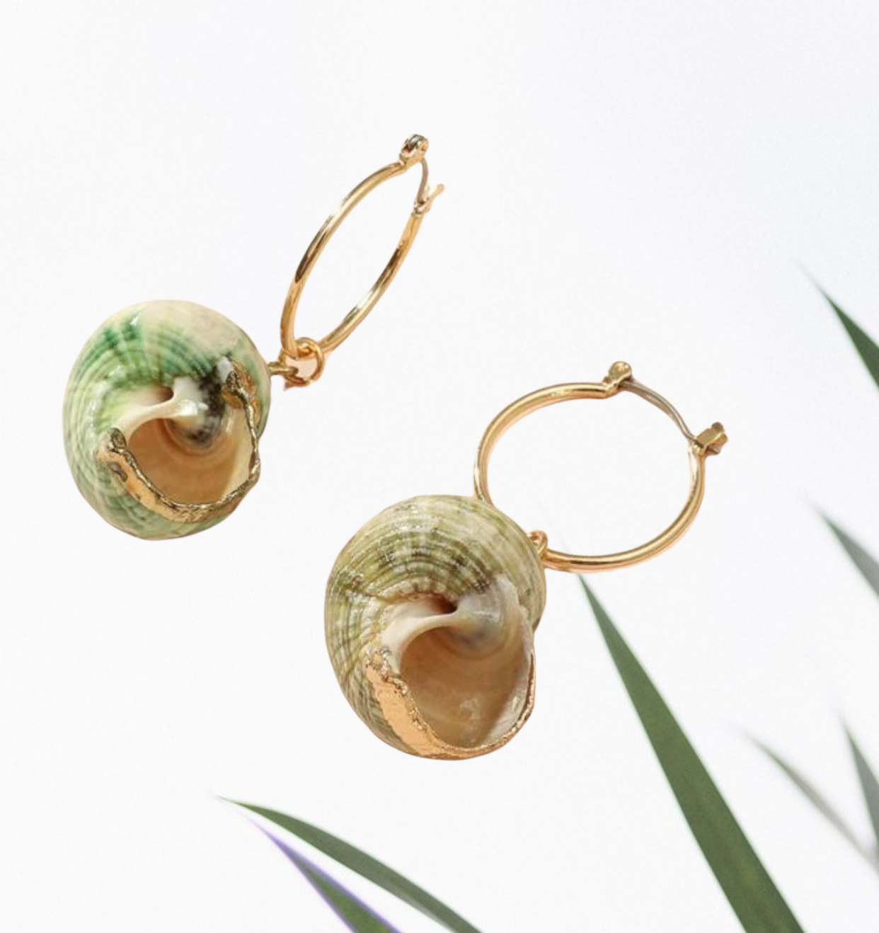 Conch decor drop earrings