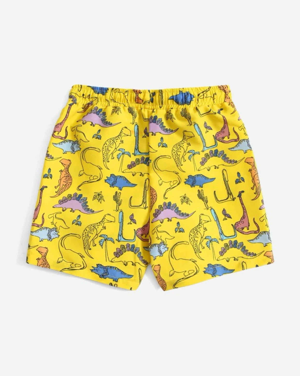 Toddler boys dinosaur print swim shorts