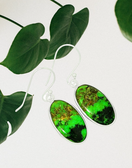 Mohave Green Turquoise 925 Sterling Silver Earrings