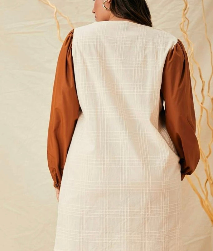 Plus color block lantern sleeve dress